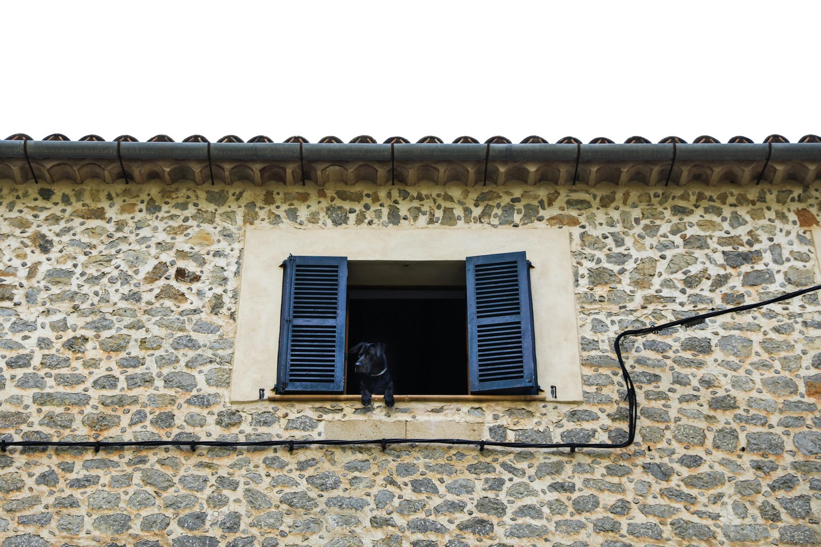 Hund schaut aus einem Fenster mit blauen Fensterläden auf Mallorca, aufgenommen von Dylan Shaw
