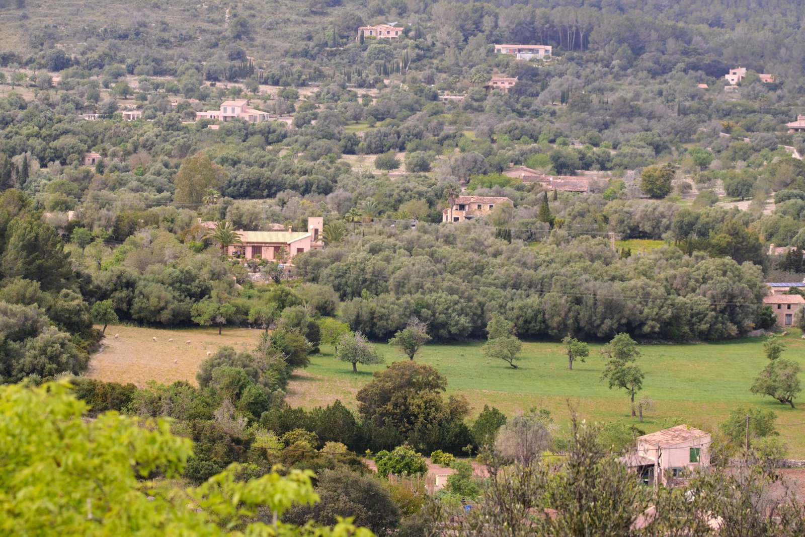 Scenic view of houses and trees on Mallorca, showcasing ländliche Ruhe und natürliche Schönheit.