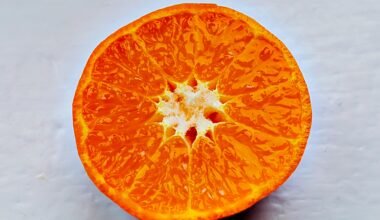 Halbe Orange auf weißem Hintergrund, fotografiert auf Mallorca von Kostiantyn Vierkieiev
