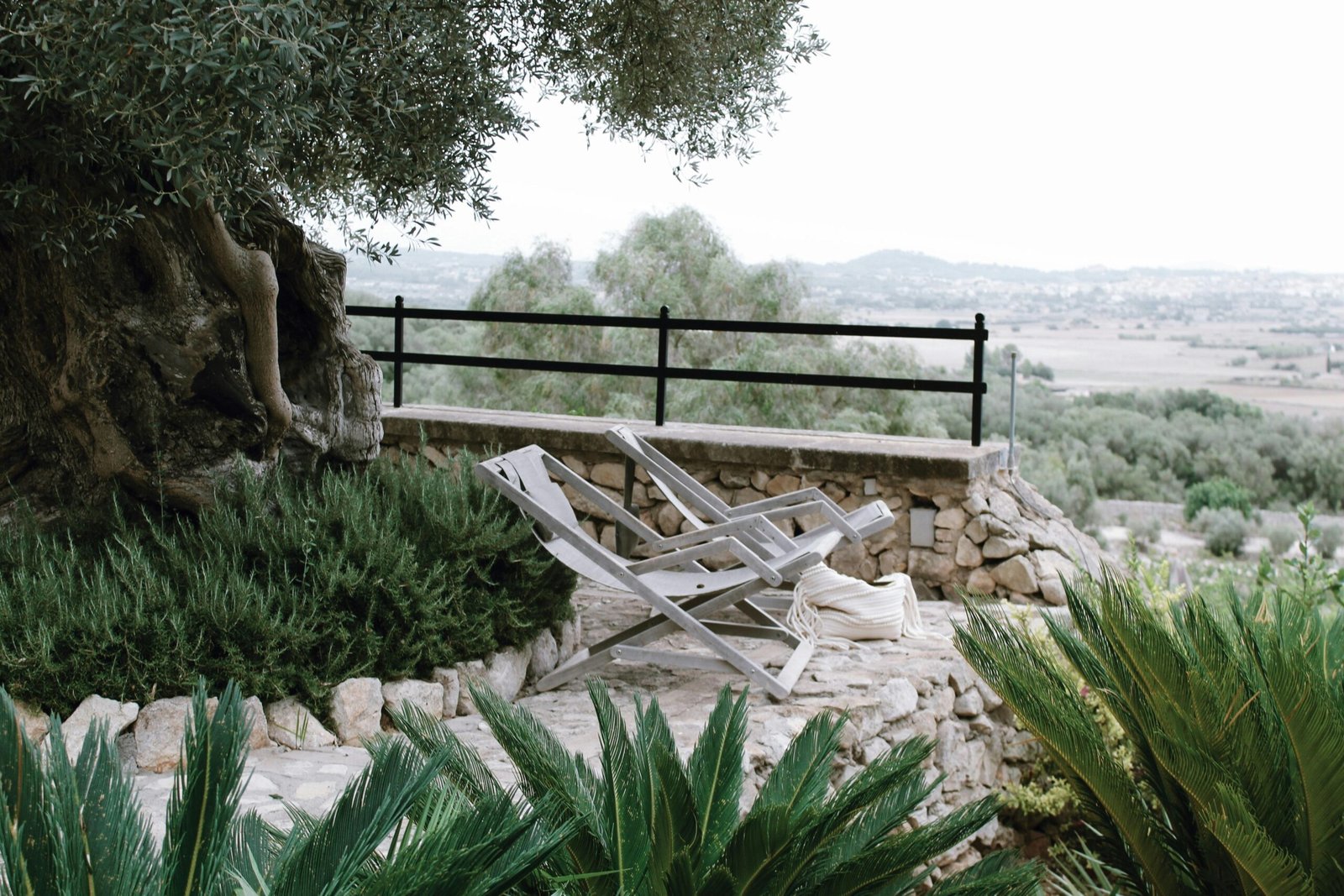 Zwei Liegestühle stehen unter einem Baum auf Mallorca, umgeben von grüner Natur, aufgenommen von Chloe Frost-Smith.