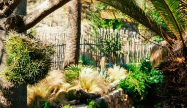 Zwei Palmen stehen neben einem dichten, grünen Wald auf Mallorca, aufgenommen von Luke Moss.
