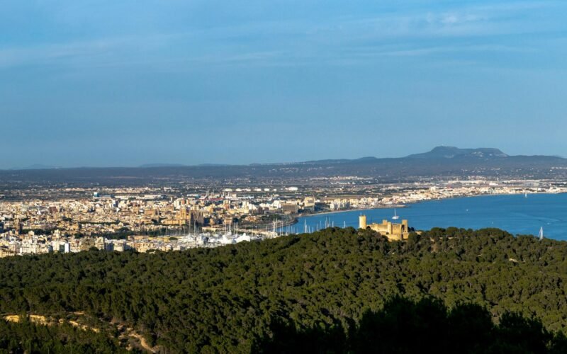 Panoramafoto einer Stadt mit Wasser auf Mallorca, aufgenommen von David Vives.