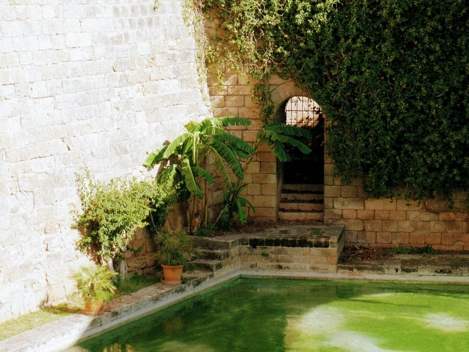 Pool im Garten auf Mallorca neben einer Steinmauer, fotografiert von Diego Marín