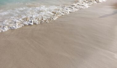 Sandstrand auf Mallorca mit Wellen, aufgenommen von Mauro Leoni, zeigt die Küstenlinie und das Meer