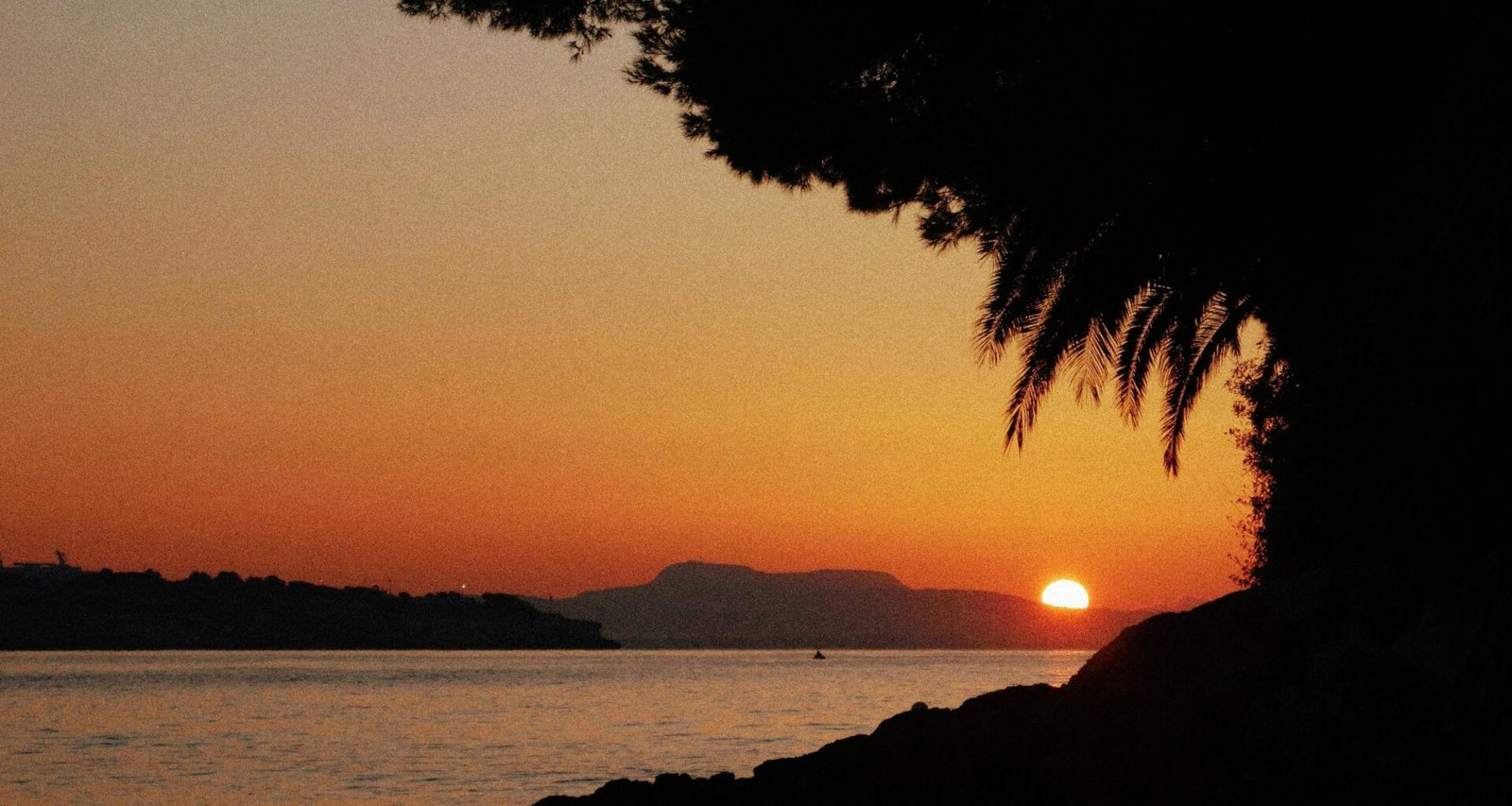 Sonnenuntergang auf Mallorca über Wasser mit einem Baum im Vordergrund, fotografiert von Diego Marín.