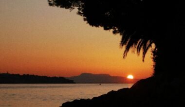 Sonnenuntergang auf Mallorca über Wasser mit einem Baum im Vordergrund, fotografiert von Diego Marín.