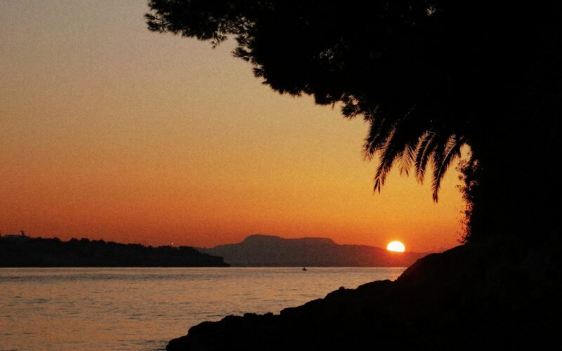 Sonnenuntergang auf Mallorca über Wasser mit einem Baum im Vordergrund, fotografiert von Diego Marín.