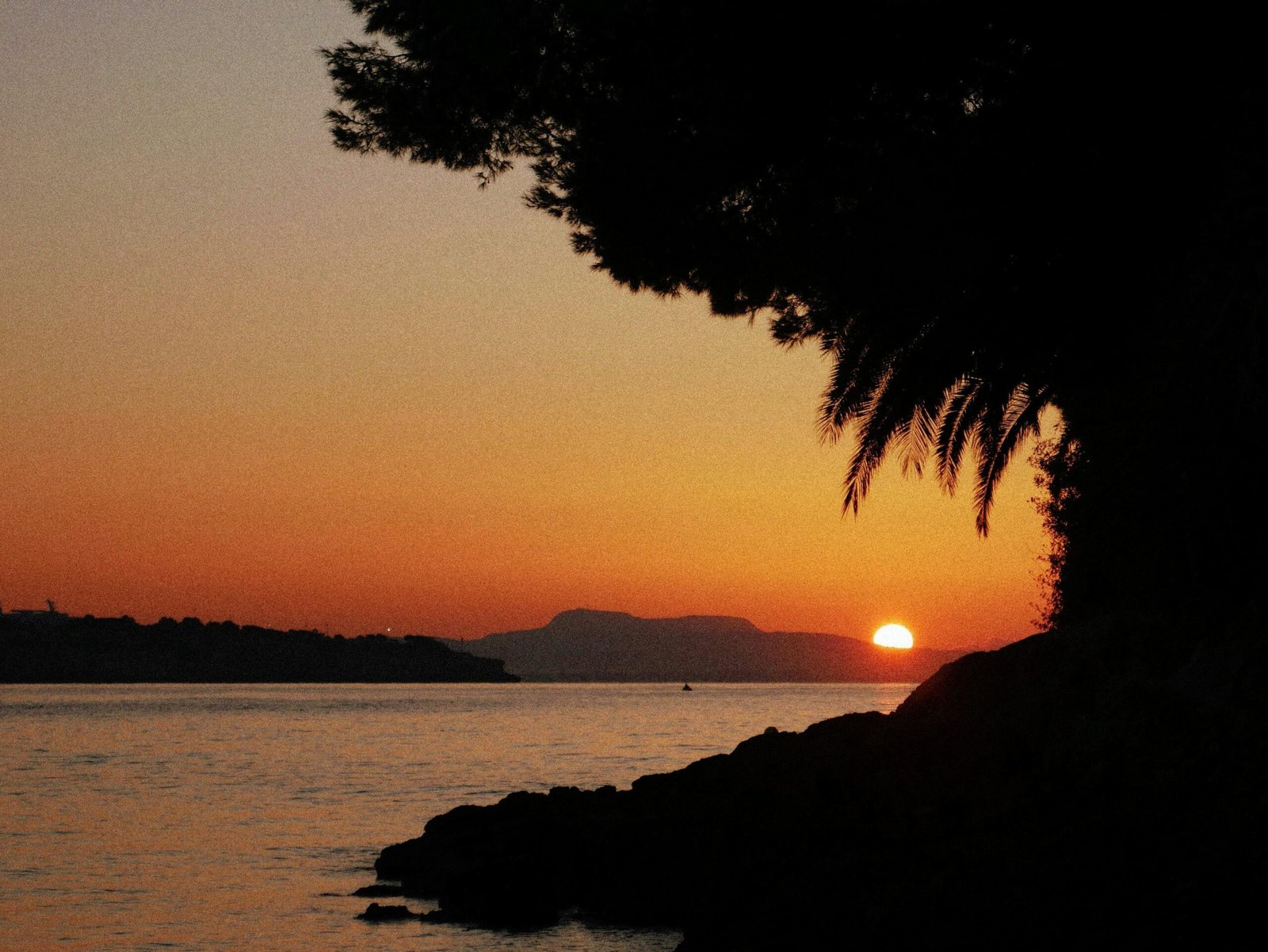 Sonnenuntergang über Wasser mit Baum im Vordergrund auf Mallorca, fotografiert von Diego Marín