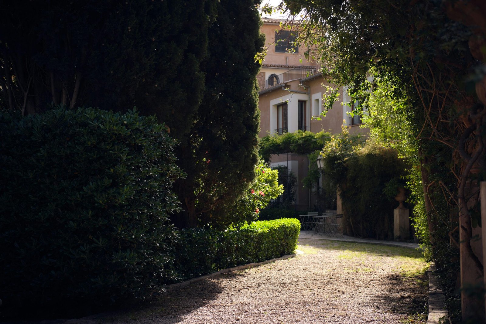 Steinweg führt zu einem Gebäude inmitten der Natur auf Mallorca, umgeben von Bäumen und Pflanzen