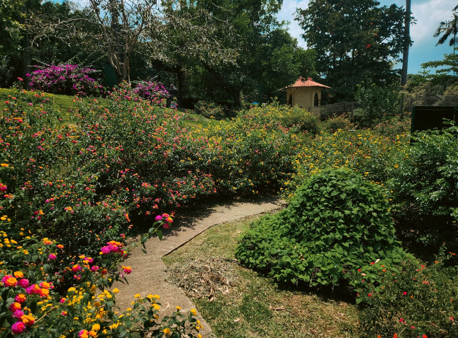 Ein üppiger Gartenpfad auf Mallorca, der zu einem kleinen Gebäude führt, umgeben von Pflanzen und Bäumen.