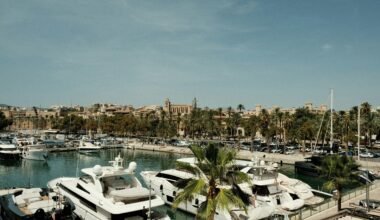 Marina auf Mallorca mit vielen weißen Booten, Wasser und Himmel im Hintergrund, aufgenommen von Felix