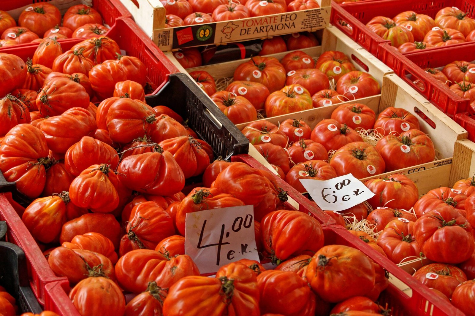 Regal mit vielen roten Tomaten in einem mallorquinischen Supermarkt, fotografiert von Alex Kulikov