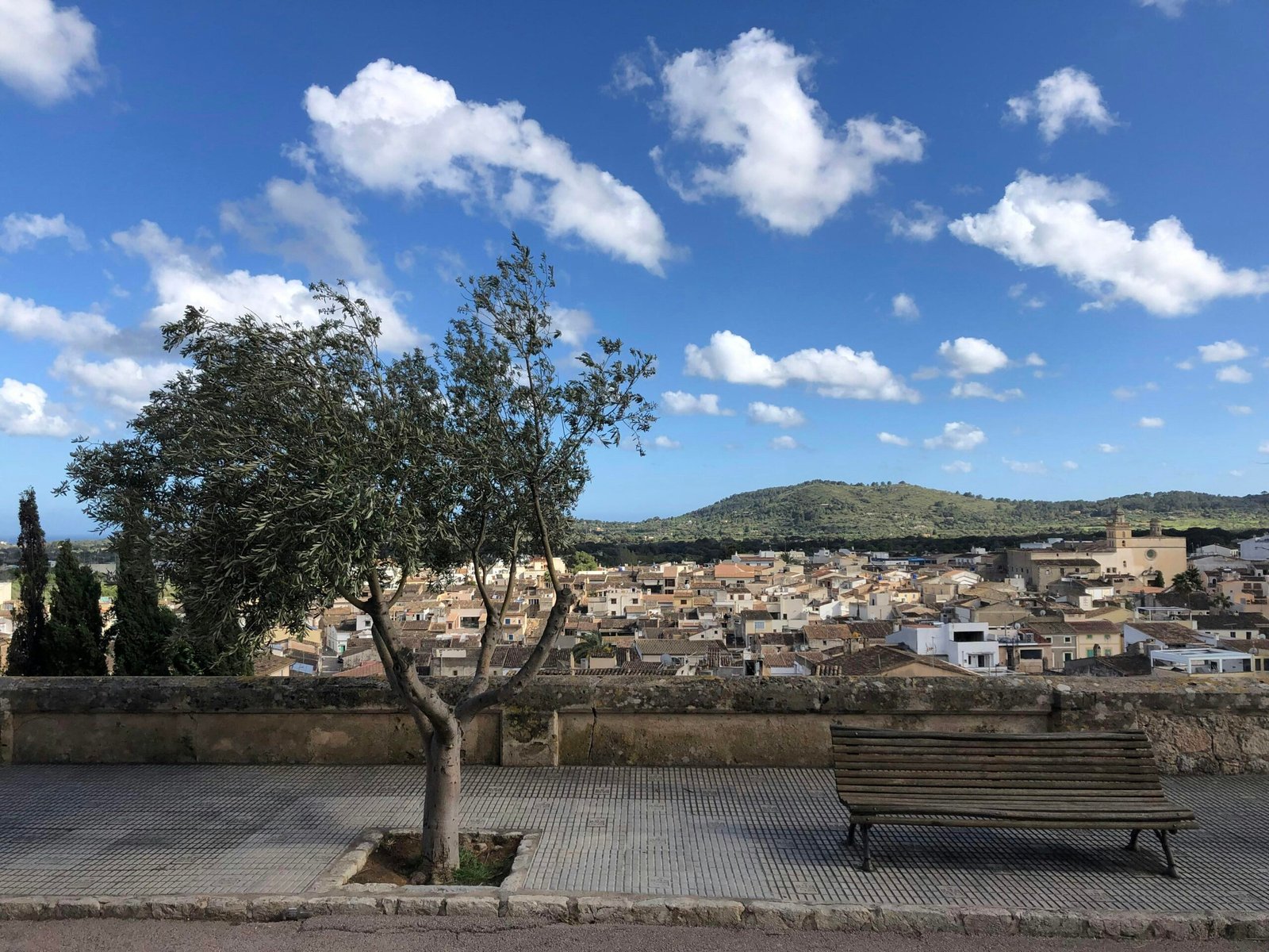 Eine einfache Parkbank in einem grünen Bereich auf Mallorca, fotografiert von yelr, lädt zum Entspannen ein.