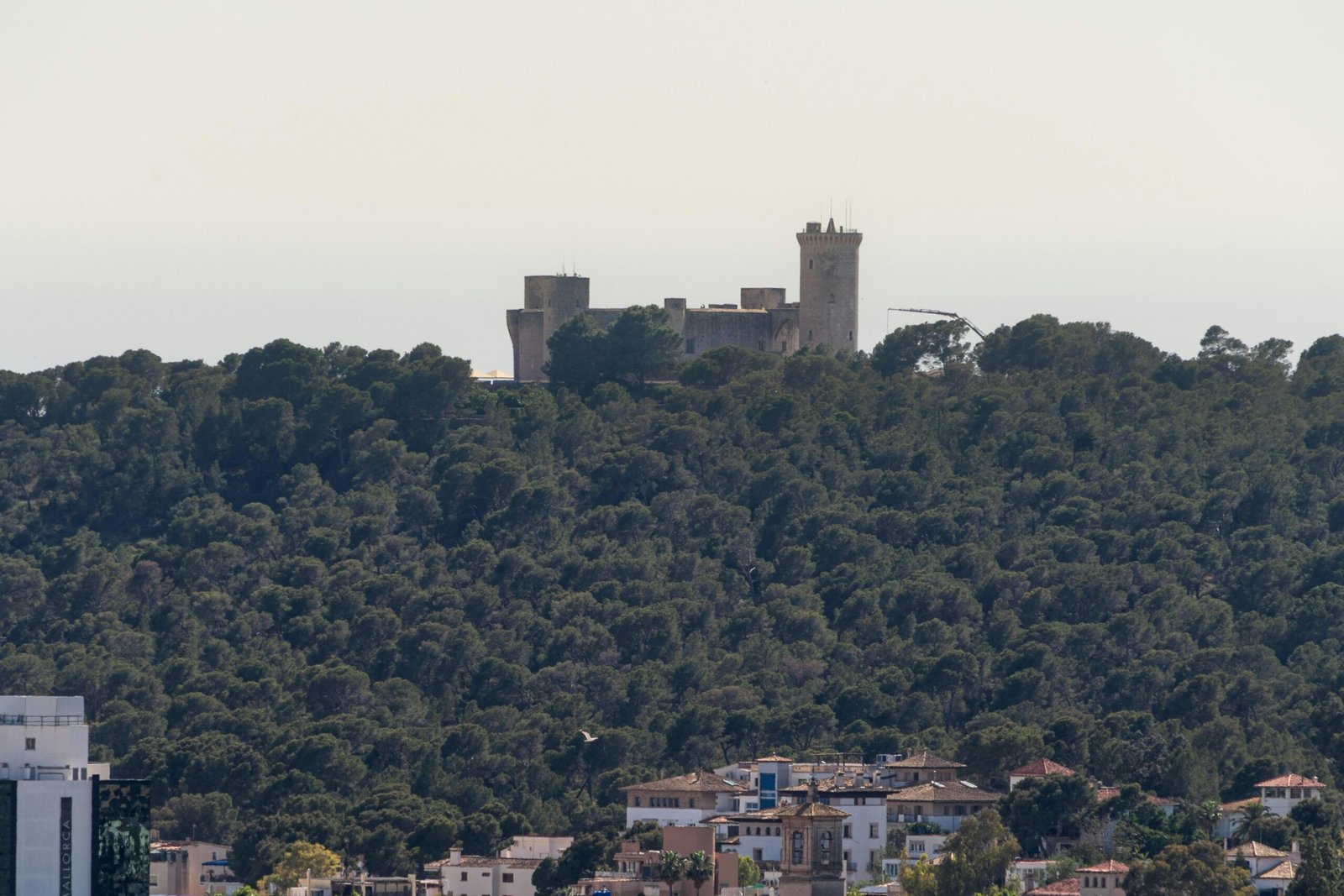 Burgturm ragt über einen dichten, grünen Wald auf Mallorca, umgeben von Natur und Geschichte