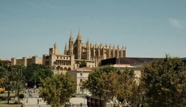 Große Kathedrale auf Mallorca, die über die Stadt ragt, umgeben von Bäumen, aufgenommen von Felix