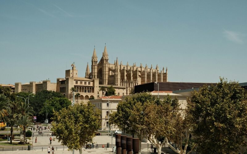 Große Kathedrale auf Mallorca, die über die Stadt ragt, umgeben von Bäumen, aufgenommen von Felix