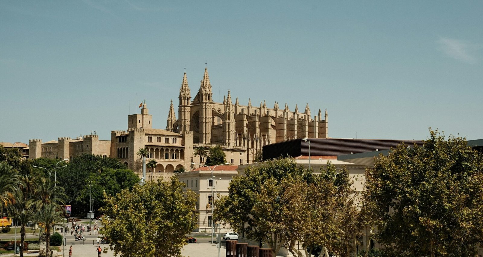 Große Kathedrale auf Mallorca ragt über eine Stadt mit Bäumen im Vordergrund, aufgenommen von Felix.