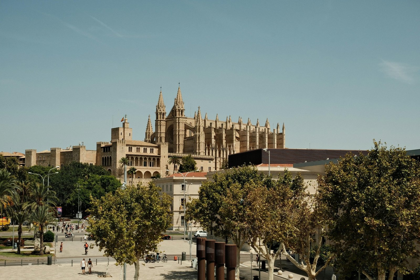 Große Kathedrale auf Mallorca ragt über eine Stadt mit Bäumen im Vordergrund, aufgenommen von Felix.