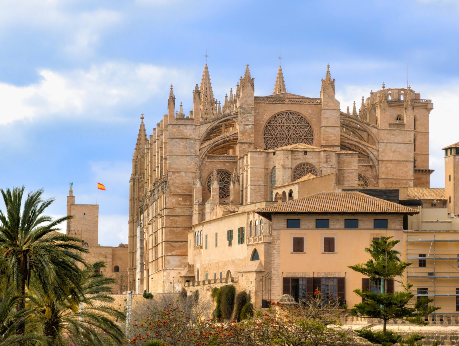 Große Kathedrale auf Mallorca unter einem blauen Himmel, aufgenommen von David Vives.