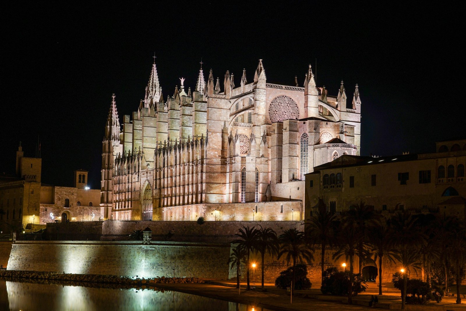 Große Kathedrale auf Mallorca bei Nacht, beleuchtet neben einem Wasserbecken, aufgenommen von David Vives.