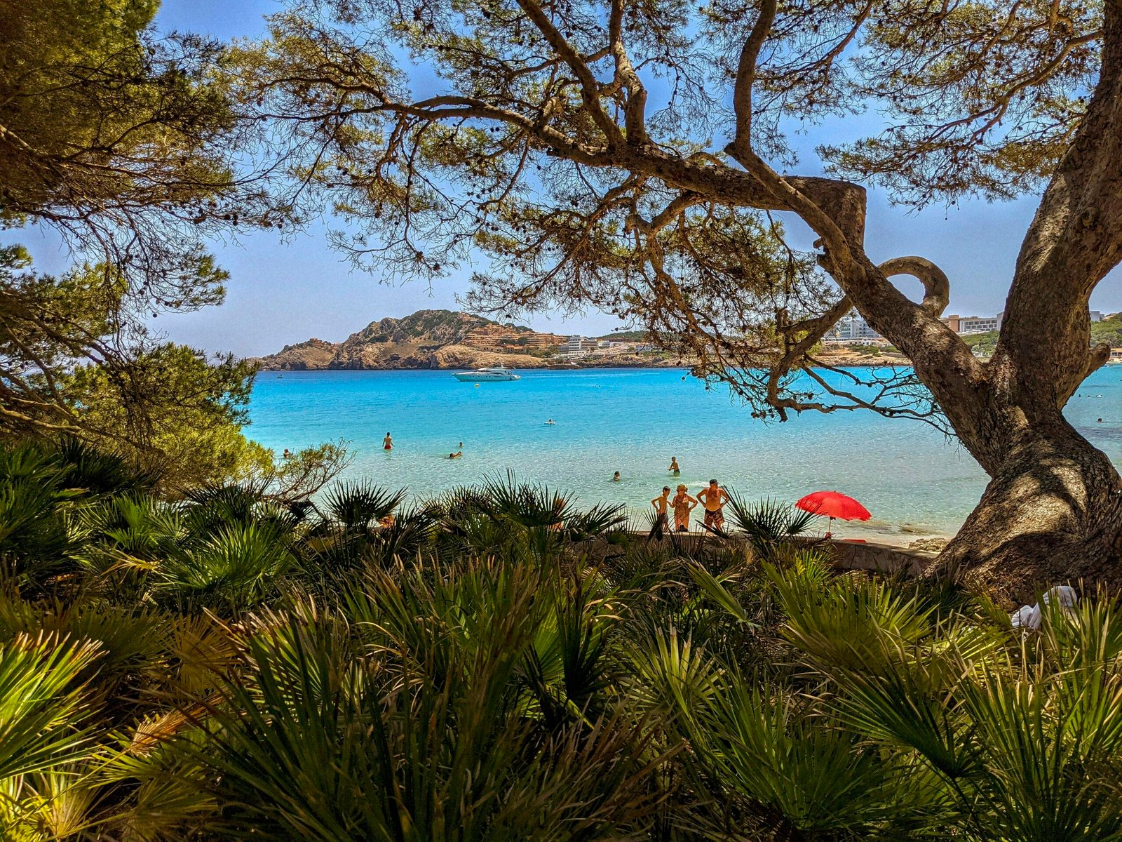 Gruppe von Menschen steht auf Mallorca am Strand unter einem Baum, Blick auf das Meer im Hintergrund