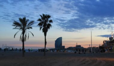 Gruppe von Palmen auf Mallorca am Strand, fotografiert von Charlène