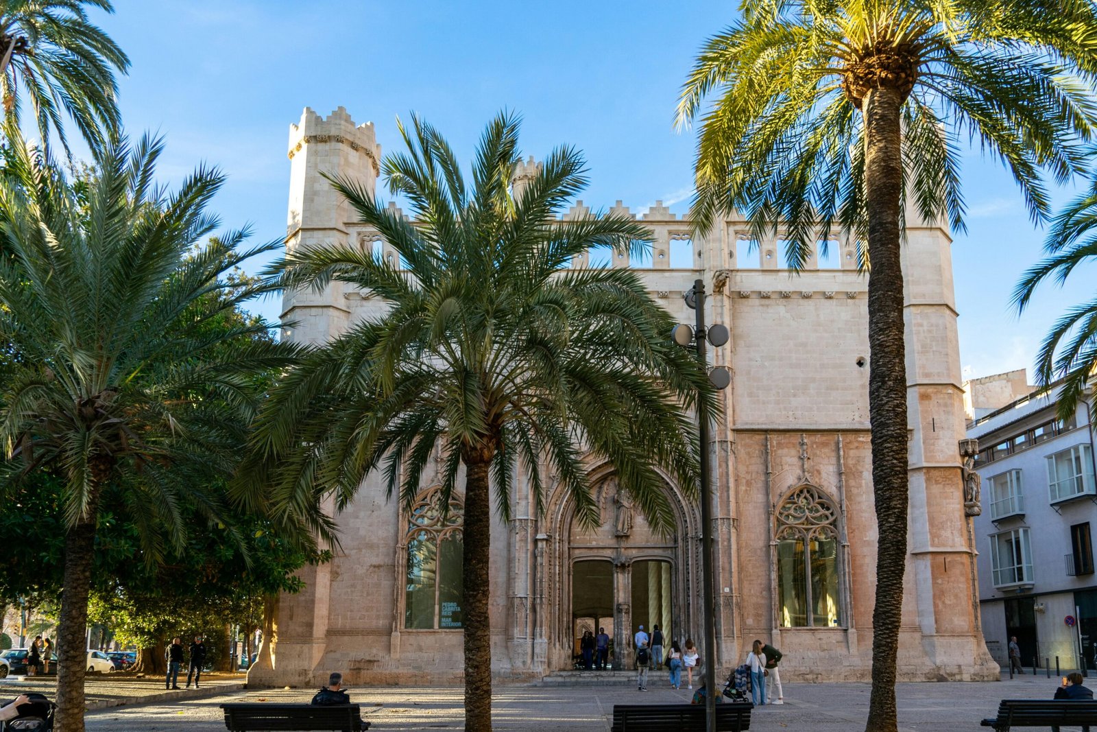 Gruppe von Palmen vor einem Gebäude auf Mallorca, fotografiert von David Vives