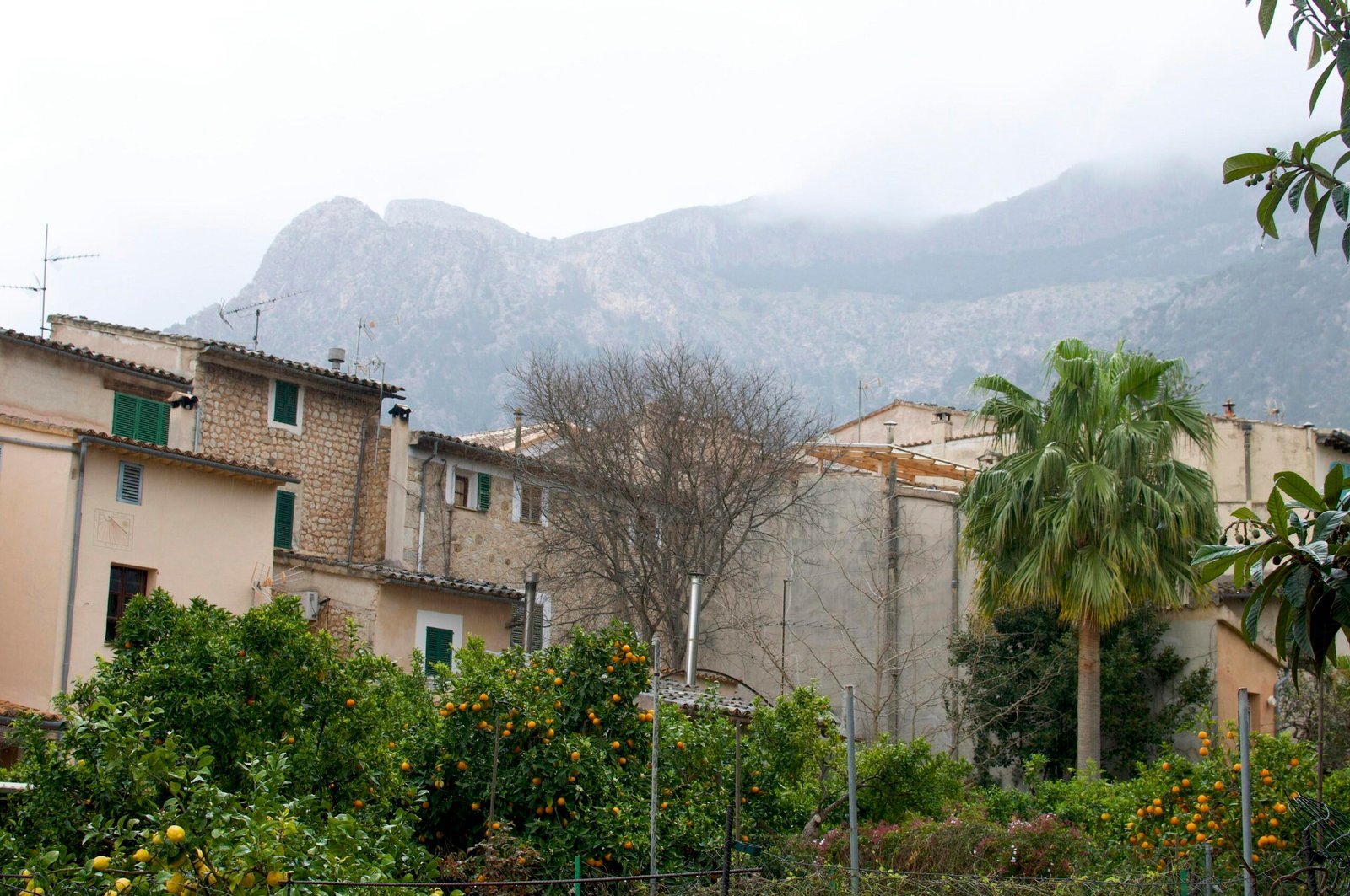 Reihe von Häusern auf Mallorca mit Bergen im Hintergrund, aufgenommen von Anna Wohnoutka.