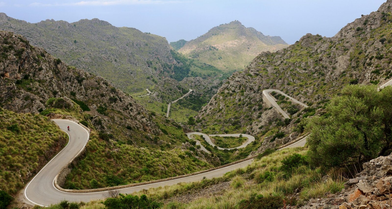 Winding road in the mountains surrounded by greenery auf Mallorca, fotografiert von Alexandra Zelena