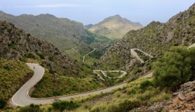 Winding road in den Bergen auf Mallorca, umgeben von üppigem Grün und Natur, fotografiert von Alexandra Zelena.