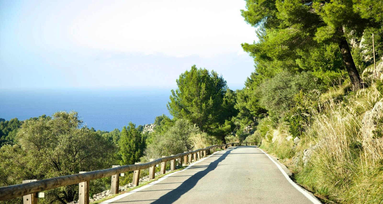 Person fährt mit einem Skateboard die Straße auf Mallorca entlang, aufgenommen von Stock Birken