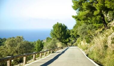 Person fährt auf Mallorca mit einem Skateboard die Straße entlang, umgeben von natürlicher Umgebung
