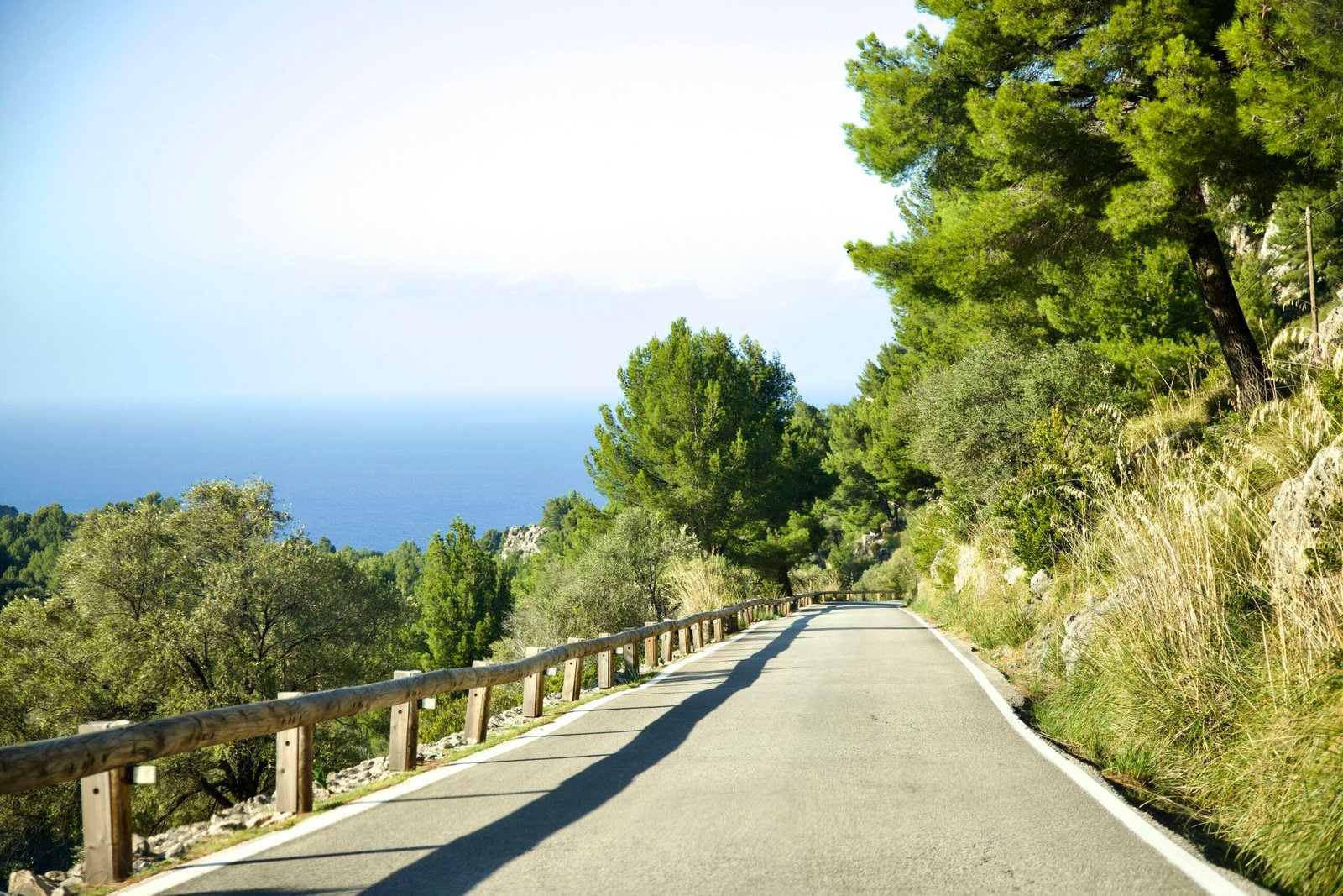 Person fährt mit dem Skateboard die Straße auf Mallorca entlang, aufgenommen von Stock Birken
