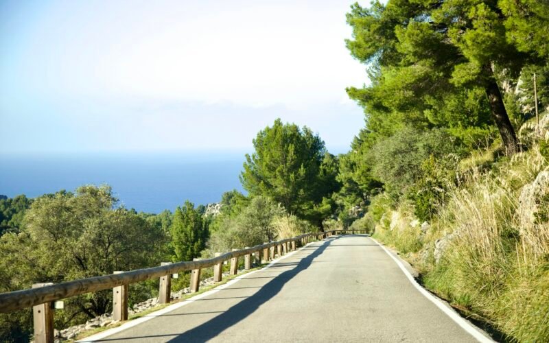 Person fährt mit dem Skateboard die Straße auf Mallorca entlang, aufgenommen von Stock Birken