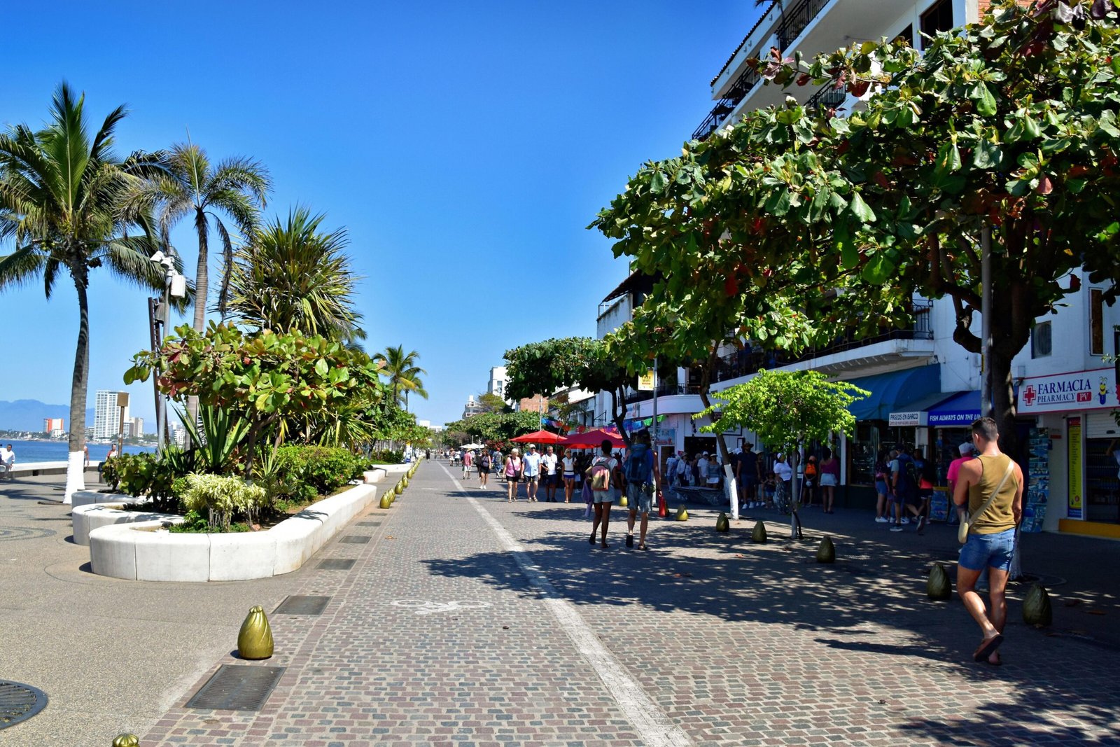 Blick auf einen sonnigen Boardwalk auf Mallorca mit Palmen, Menschen und Gebäuden im Hintergrund, fotografiert von Jeffrey Eisen.