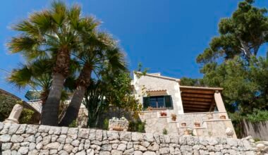 Steinmauer und Palmen vor einem Haus auf Mallorca, fotografiert von Marian Florinel Condruz