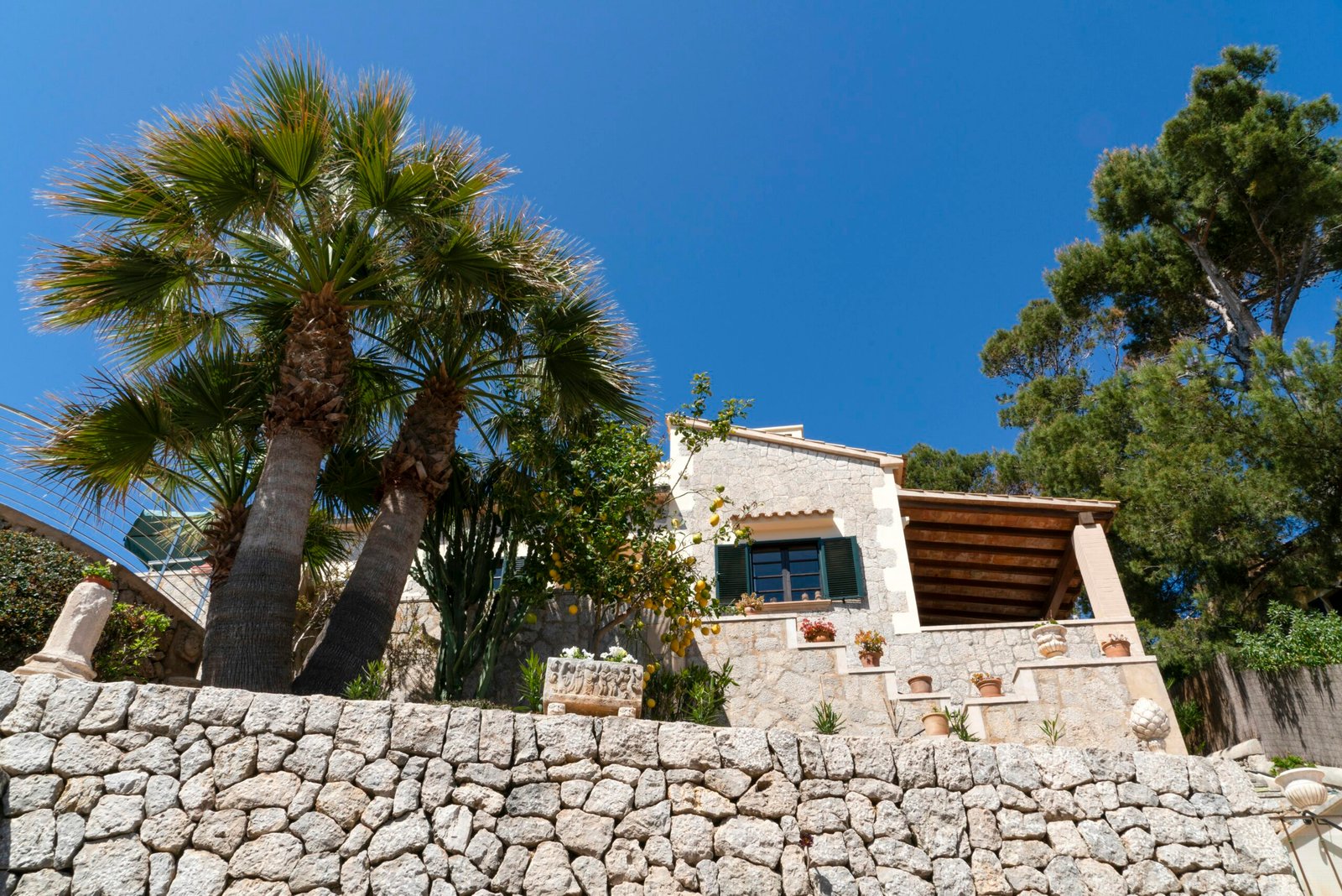 Steinmauer und Palmen vor einem Haus auf Mallorca, fotografiert von Marian Florinel Condruz
