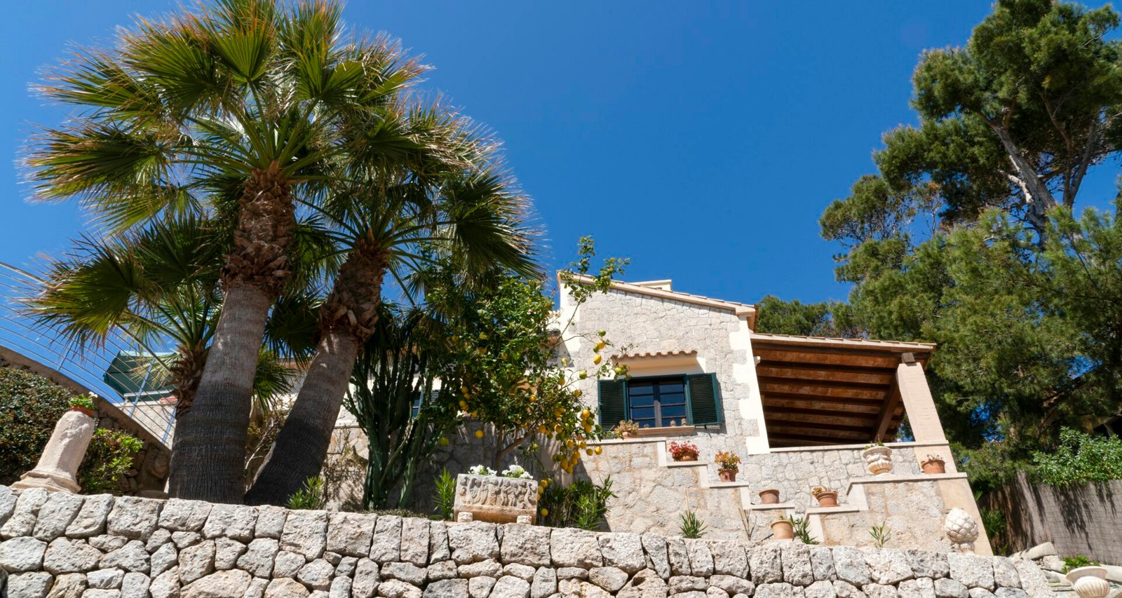 Steinmauer und Palmen vor einem Haus auf Mallorca, aufgenommen von Marian Florinel Condruz