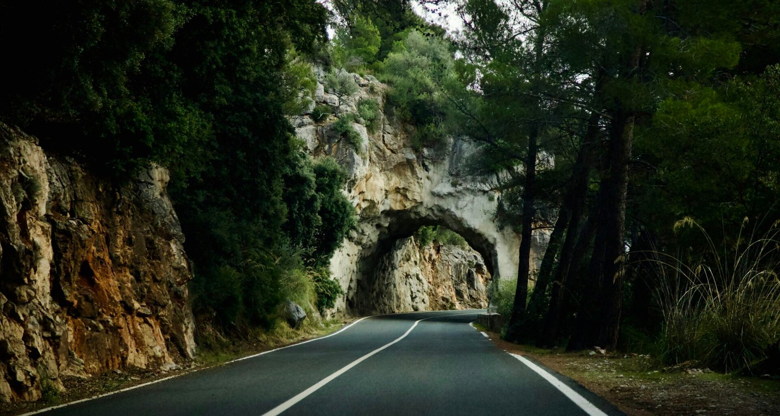 Straße mit Tunnel auf Mallorca, aufgenommen von Stock Birken, zeigt eine kurvige Straße durch die Landschaft der Insel