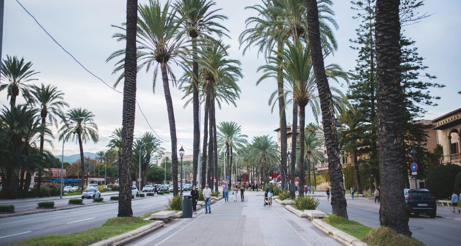 Straße auf Mallorca mit Palmen entlang, bewölkter Himmel, Monika Guzikowska