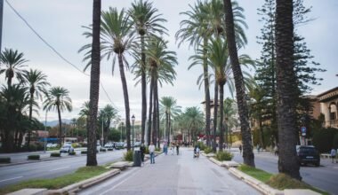 Straße auf Mallorca mit Palmen entlang, bewölkter Himmel, Monika Guzikowska