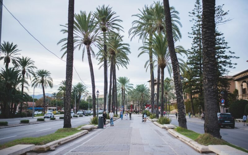 Straße auf Mallorca mit Palmen entlang, bewölkter Himmel, Monika Guzikowska