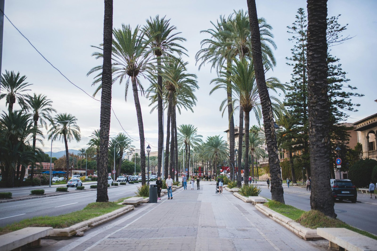 Straße auf Mallorca mit Palmen entlang, bewölkter Himmel, Monika Guzikowska