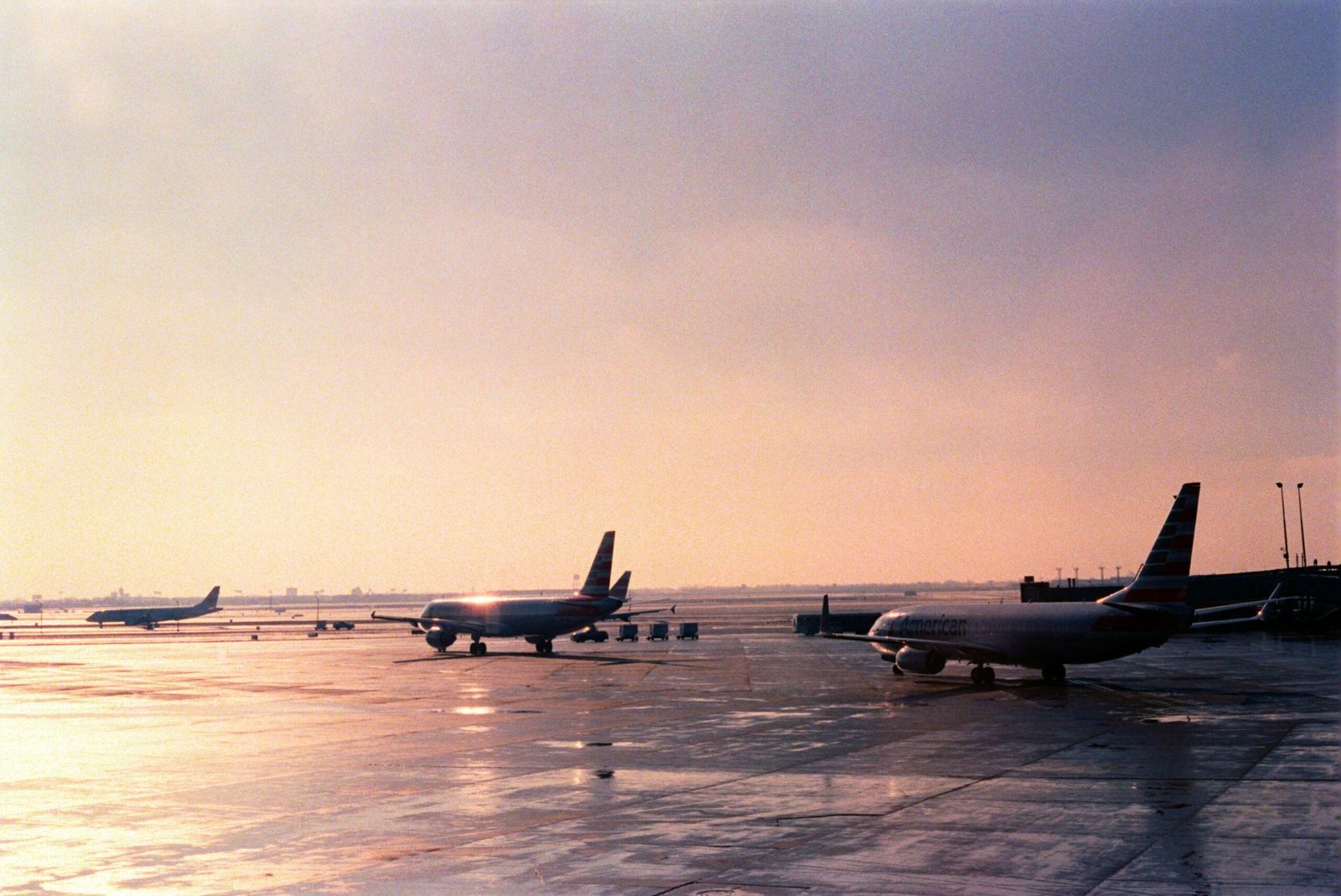 Mehrere Flugzeuge am Flughafen auf Mallorca bei Tageslicht, aufgenommen von Olivia Anne Snyder.