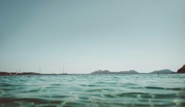 Blick auf das ruhige Wasser auf Mallorca, aufgenommen von Tobias, mit sanften Wellen und natürlicher Umgebung.