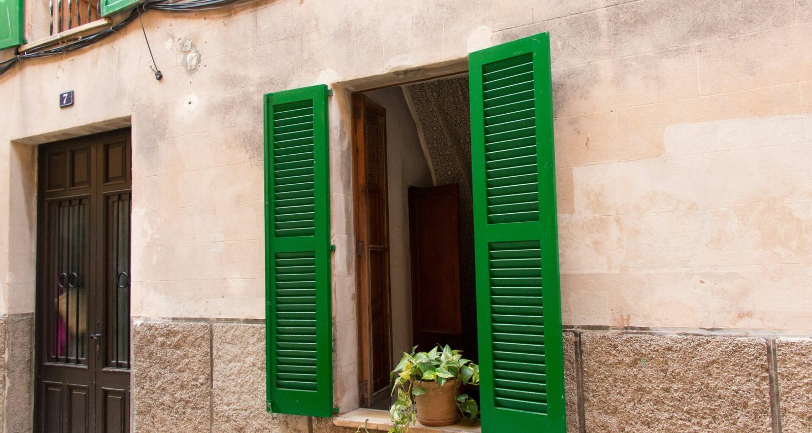 Nahaufnahme eines grünen Blattes vor einem Fenster auf Mallorca, fotografiert von Joacim Bohlander.