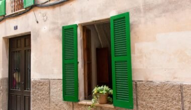 Nahaufnahme eines grünen Blattes vor einem Fenster auf Mallorca, fotografiert von Joacim Bohlander.