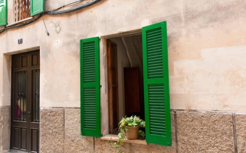 Nahaufnahme eines grünen Blattes vor einem Fenster auf Mallorca, fotografiert von Joacim Bohlander.