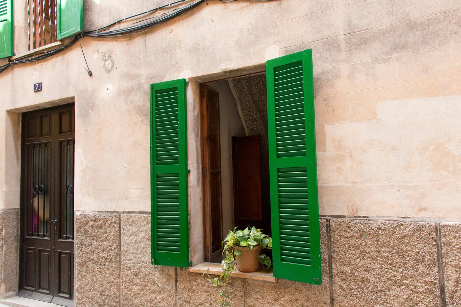 Nahaufnahme eines grünen Blattes vor einem Fenster auf Mallorca, fotografiert von Joacim Bohlander.
