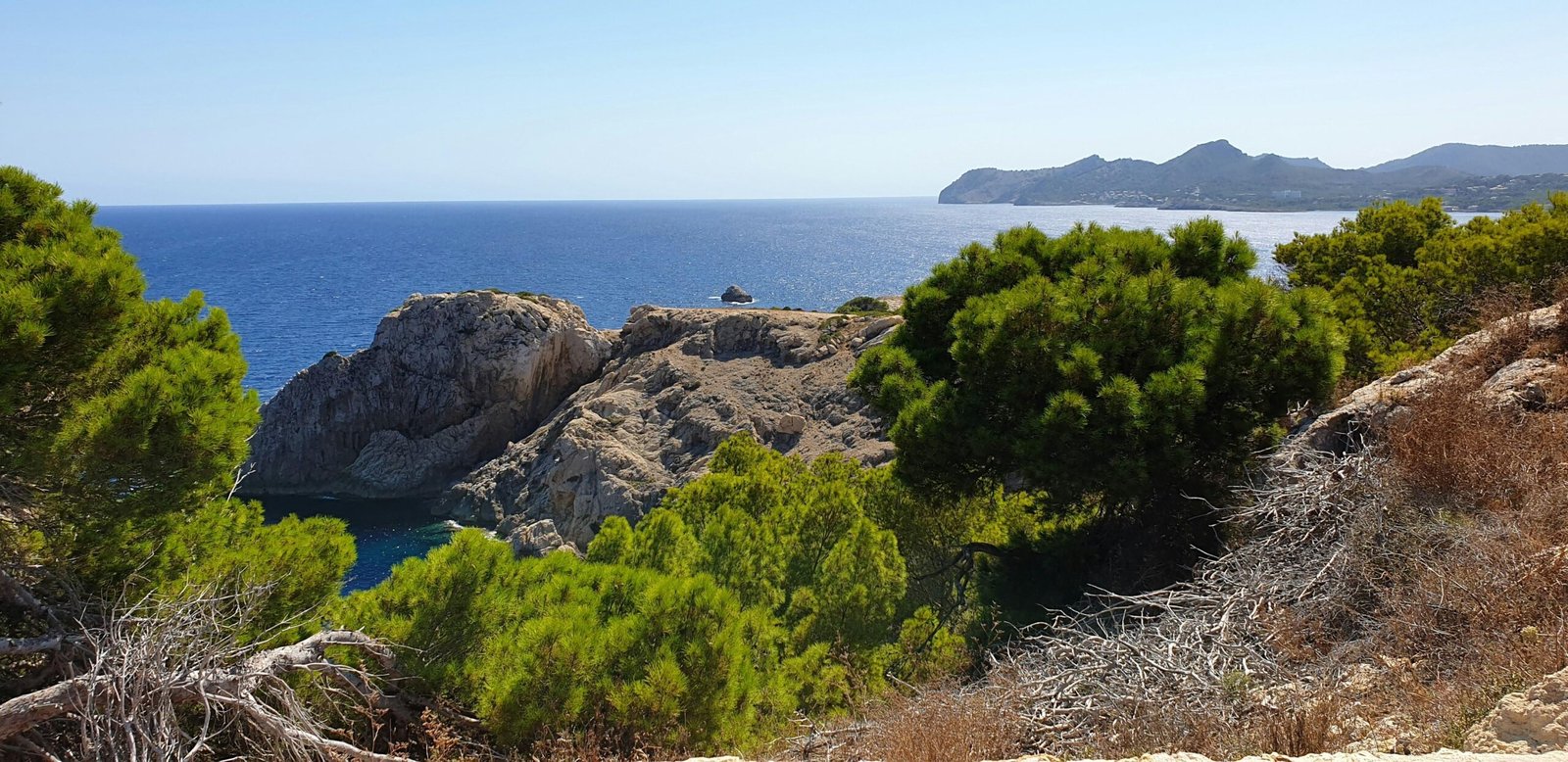 Grüne Bäume auf Mallorca vor einem braunen felsigen Berg bei Tageslicht, aufgenommen von Serhat Köylüce.